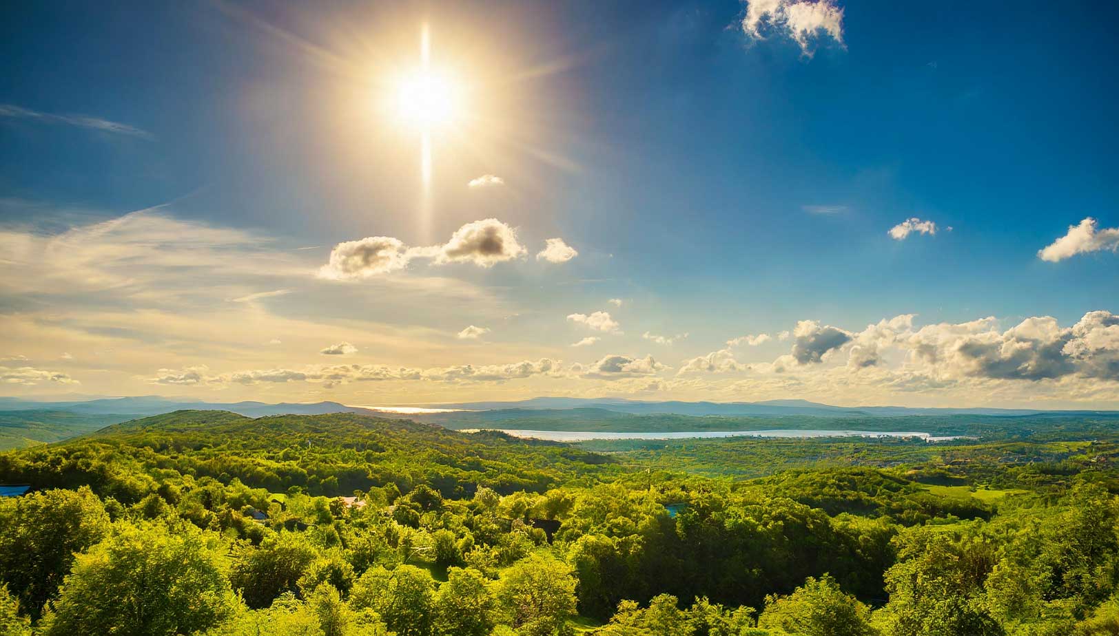 Solenergi blomstrar, framtiden ser ljus ut med ständiga innovationer som lovar allt effektivare och billigare solceller.